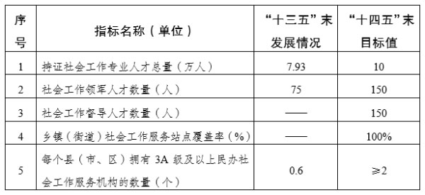 '社会工作专业人才队伍建设规划指标'